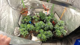 0331210544a.jpg 0331210544a.jpg