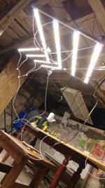 0402211611.jpg 0402211611.jpg