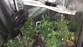 0331210548.jpg 0331210548.jpg