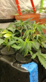 0331210547.jpg 0331210547.jpg