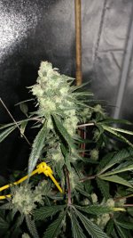 0331210548d.jpg 0331210548d.jpg