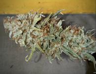 Chocolate Diesel.png