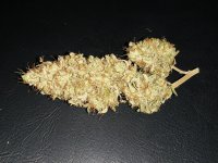 IMG_20210502_202233499.jpg