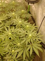 IMG_20210503_201034375.jpg