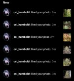 Screenshot_20210504-160510_Instagram.jpg