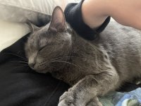 IMG_7193.JPEG