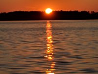 IMG_20190810_195754.jpg