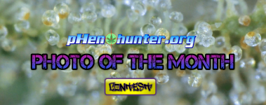 potm june.png