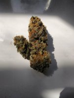 IMG_20210516_163709_DRO.jpg