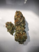 IMG_20210516_163701_DRO.jpg