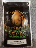 Screen Shot 2021-06-05 at 7.53.44 AM.png