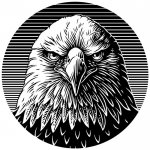 Eagle logo scratchboard illustration.jpg
