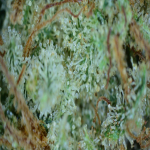20210630_18_56_54.png