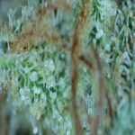 20210630_18_55_46.png