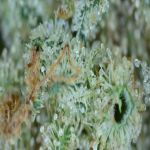 20210630_18_49_52.png