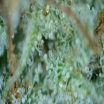 20210630_18_49_02.png