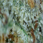 20210707_13_01_59.png
