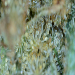 20210713_18_49_08.png