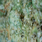 20210713_18_50_41.png