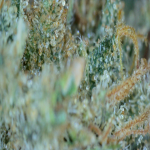 20210713_18_52_52.png