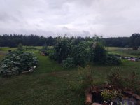 20210719_074713.jpg