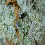 20210719_22_22_04.png