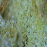 20210720_06_01_34.png