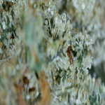 20210720_18_07_37.png