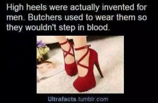 HighHeels.jpg