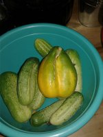 20210727_105120.jpg