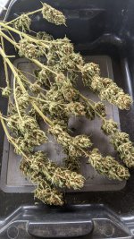 PXL_20210727_152433727.jpg PXL_20210727_152433727.jpg