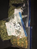 IMG_6516.JPG IMG_6516.JPG