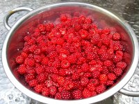 berrynice!.jpg