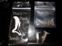 Idlewilder - Copy.jpg