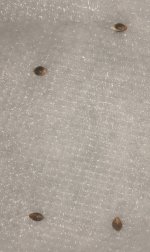PXL_20210828_232612076~2.jpg