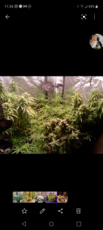 Screenshot_20210828-112623.png