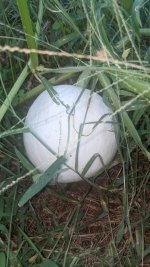 PXL_20210829_234033717.jpg