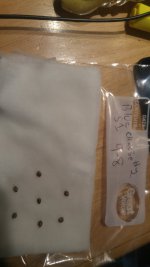 blue cheese #2 s1 germ test.jpg