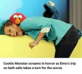 37400852_10155582367833045_2732942970968866816_n.jpg