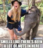 42239EBF-8B49-461F-9EF7-690FF5B5D158.jpeg