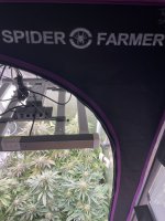 BC3C9C15-3144-4DDF-9340-D12383A24B0E.jpeg