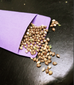 Screen Shot 2021-09-29 at 7.59.34 AM.png