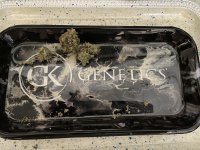 47444FE5-5733-4661-8ABD-C5968C12836C.jpeg 47444FE5-5733-4661-8ABD-C5968C12836C.jpeg