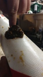 1022211845a.jpg 1022211845a.jpg