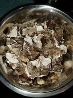 20211108_202431.jpg 20211108_202431.jpg