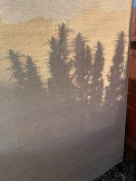 IMG_5815.jpg