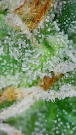 2021_11_11_15_41_45_049.jpg