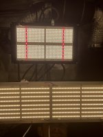 AEFA30D2-635E-4675-B1C0-7E07E55752E1.jpeg