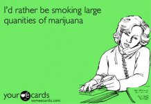 89806e97cb6f39358d5f2d48ff7ee2fd--happy--funny-e-cards.jpg