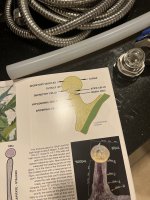 54635878-AB2E-4046-BB0A-C5EE79360632.jpeg 54635878-AB2E-4046-BB0A-C5EE79360632.jpeg